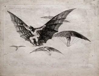 Art zu fliegen